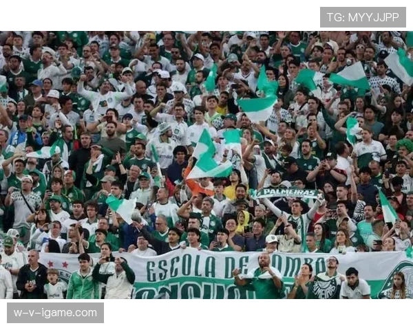 南美足球影响力持续扩大，全球球迷关注热潮再升温