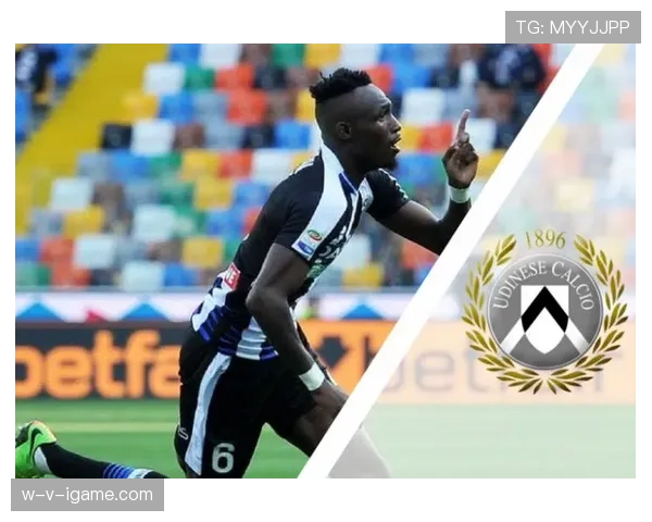 乌迪内斯聚焦青训新星，优化转会策略锁定年轻潜力股以提升球队竞争力