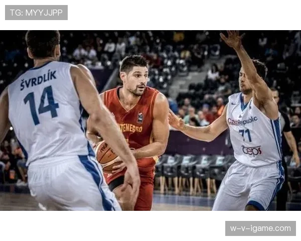 佩科维奇利用篮下强攻拉开空间 提升球队内线得分效率